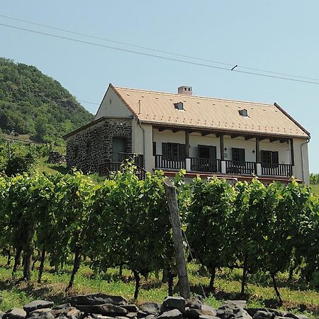 Sed Pince Vendeghaz Aparthotel Somlojeno Exterior photo